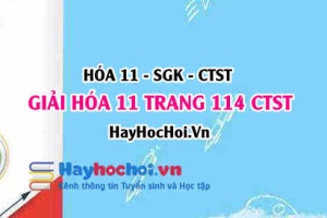 Giải Hóa 11 trang 114 SGK Chân trời sáng tạo